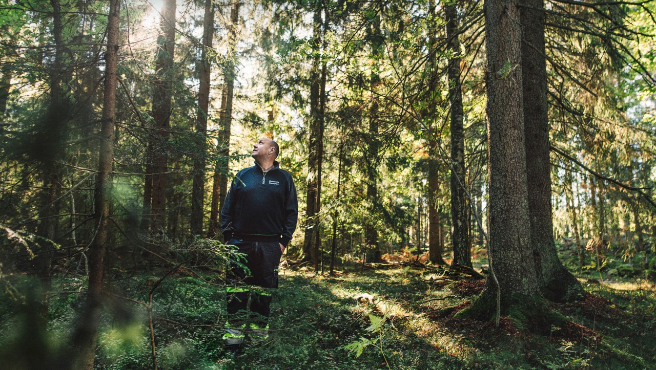 Bert Johansson nella foresta